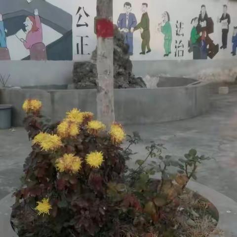 今年花胜去年红，可知明年花更好，知与谁同？