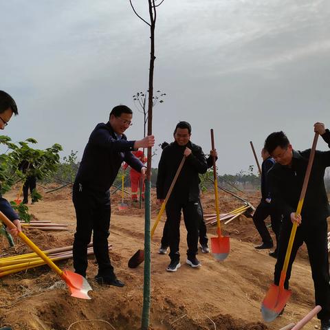 商城县第45个全民义务植树节活动在李集乡举办