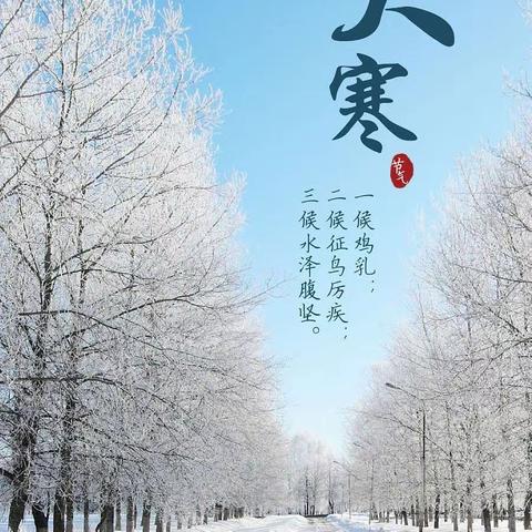 向日葵 三（5）班共读打卡834天
