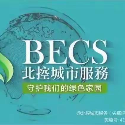 攻坚治乱焕新颜 协同发力促长效 --北控城市服务深耕新城村及农村项目环卫服务纪实