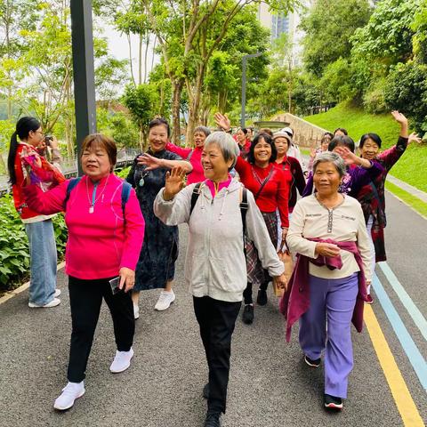新雪社区重阳登高话传统·竹林寻秋暖桑榆