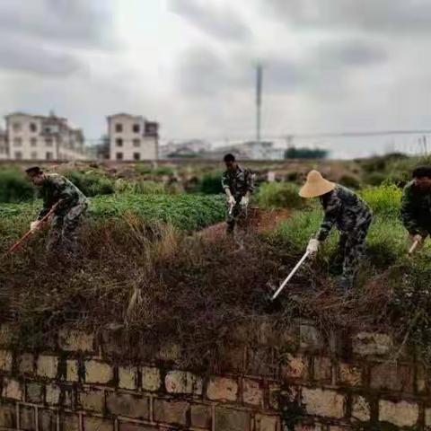 任井社区党群服务中心开展清河、护河志愿服务活动