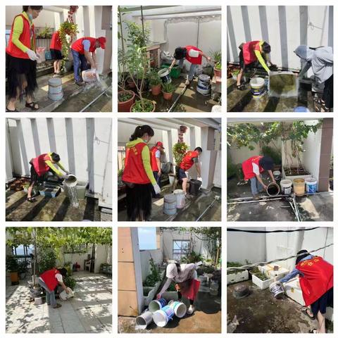 和美“馨”湖#健康生活｜全民清积水，病媒不滋生，预防登革热