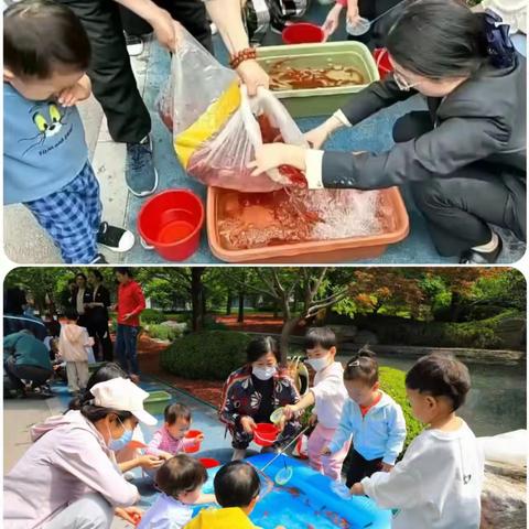 心怀感恩 回馈自然 ---融华府社区举办“锦鲤回家”母亲节主题活动
