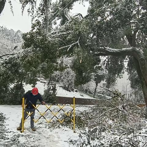 迎寒潮 除积雪 勇担当|东湖水厂迎雪护航民生供水