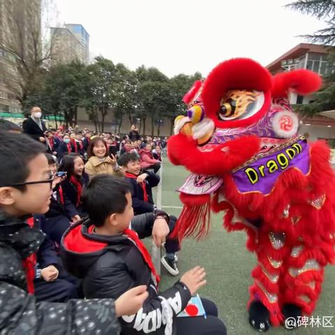 锚定前行航向标   共绘提质同心圆 ——碑林区基础教育（小学）2024年工作纪实