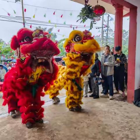 马氏华山公秋祭大典之双狮贺祠