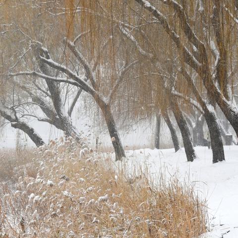 防范雨雪   安全无忧——农拥幼教中心致家长一封信