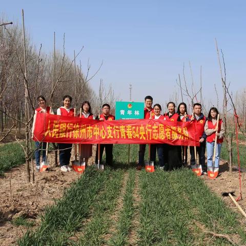 人民银行徐州市中心支行组织开展学雷锋•乡村行志愿服务系列活动