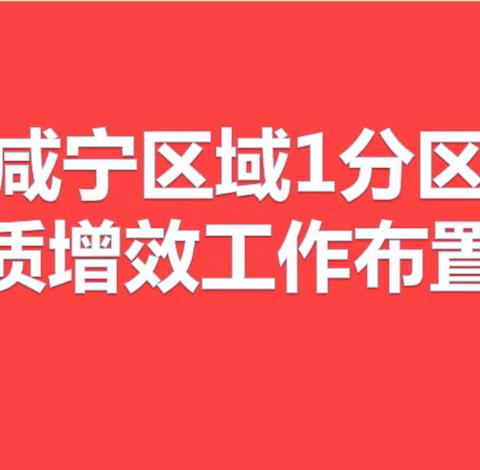 提高服务质量   创新经营模式-咸宁区域1分区2024年3015复盘经营工作会议暨提质增效专题会议