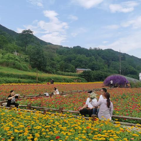 致三川镇乡贤的一封新春慰问信