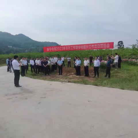 水宁寺镇：召开农村工作暨乡村振兴工作流动现场会