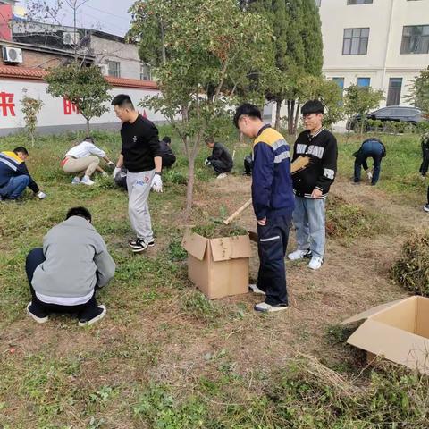 打造舒心环境，我们在行动！