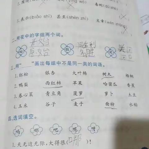 北四公小学二年级寒假特色作业