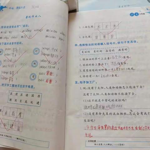 北四公小学二年级第二阶段暑期特色作业