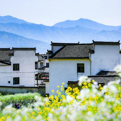 畅游武夷山、宏村、南屏、卢村、西递（风光篇）