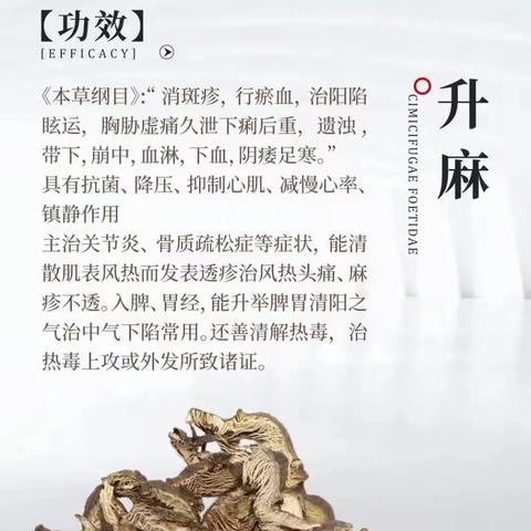 康膜案例合集D4