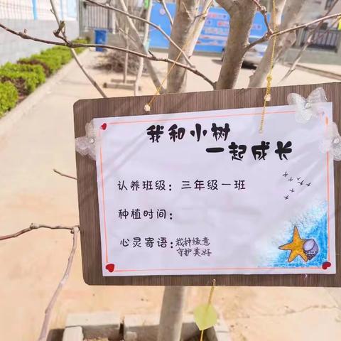 齐行动 共护绿      实验小学西校区植树节活动