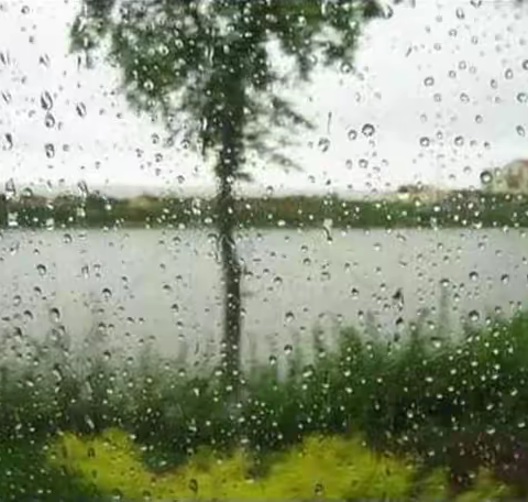 梅子黄时雨