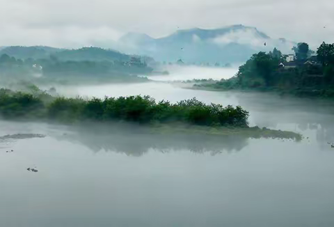 将一潭桃花揣在怀里