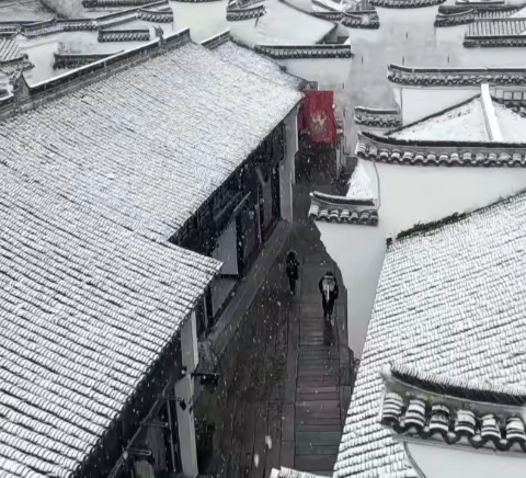 雪落倾城