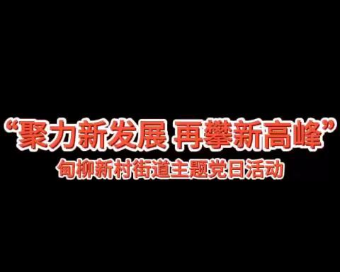 甸柳新村街道开展“聚力新发展 再攀新高峰”主题党日活动