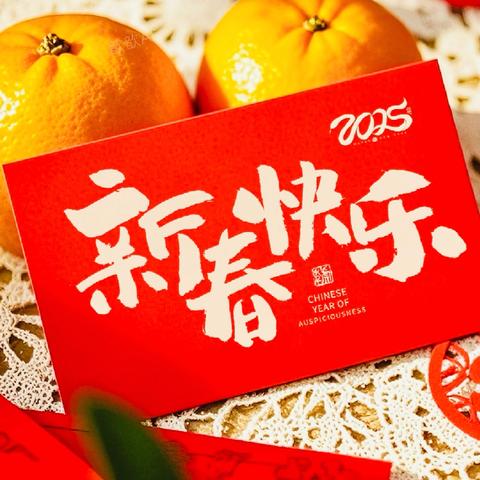 海口市公安局交警支队关于2025年春节交通出行提示