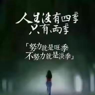 初心永记 韶华不负——晨中学校初中数学教研组的美篇