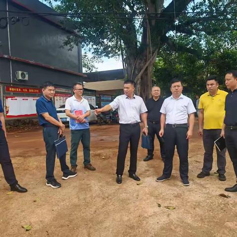 省委第九巡视组组长廖检保同志带队到潭楼村督导检查巡视问题整改工作