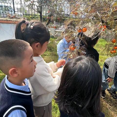 四季课程‖破译“叶子密码”——东海县第三幼儿园大四班班本活动