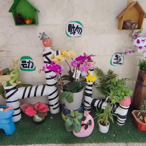 漳浦县长桥中心幼儿园植树节主题教育活动