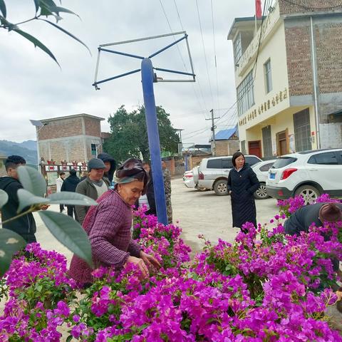 鸡街乡：爱心企业赠鲜花    群众植绿迎新春