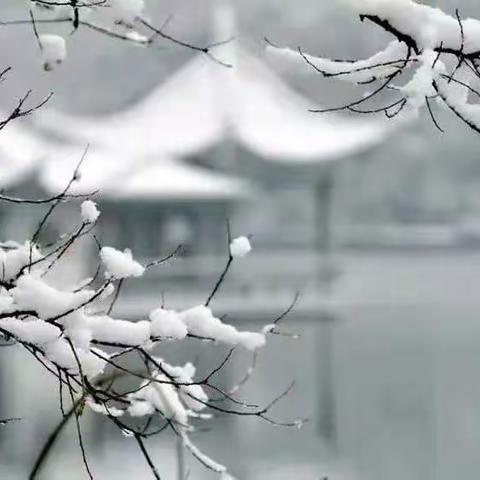 鬓边华 · 暮雪寻梅