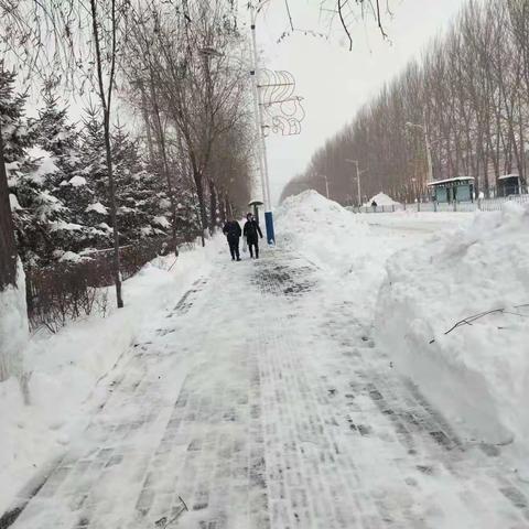 鸡东四中雪后复课安全提示