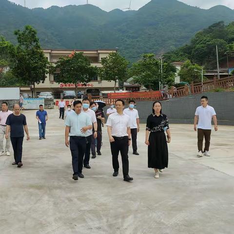 区委副书记、区长陈研同志到黄岭镇调研乡村振兴工作