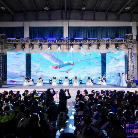 艺术节与冬至 撞了个满怀