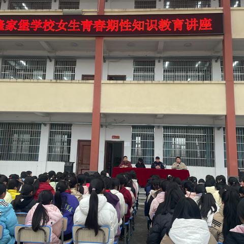 “以利剑之心，护纯洁之蕾”麻阳苗族自治县隆家堡学校开展防性侵法治教育专题讲座