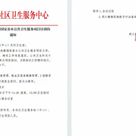 那大镇卫生院召开国家基本公共卫生服务项目培训会