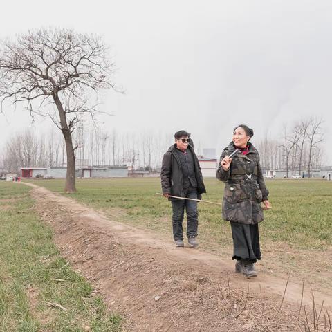 又见马街书会（上）