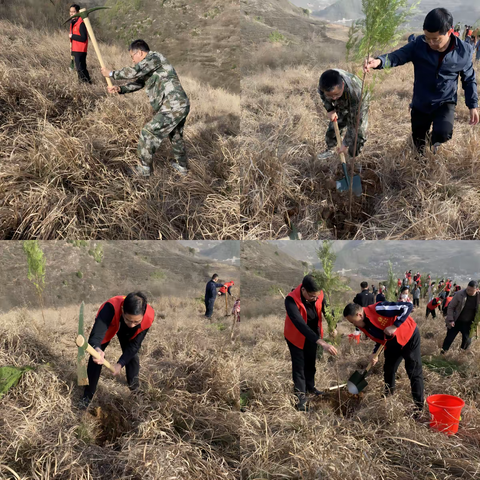 【板岩宣传】全民义务植树  共享绿水青山——板岩镇开展植树节活动