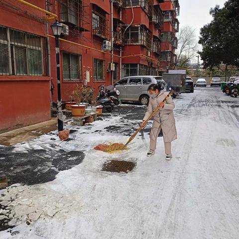 扫雪除冰，温暖向“春”行！——我为群众办实事