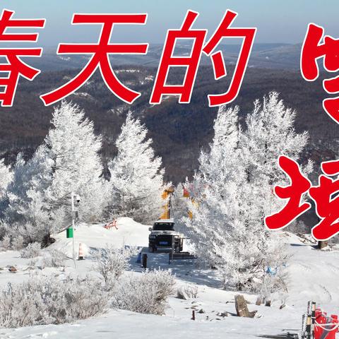 春天的雪域