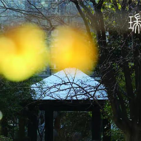 图片故事：《瑞雪》