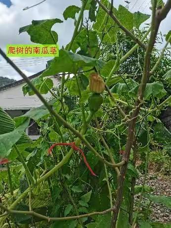 坐着南瓜车去旅行（四）