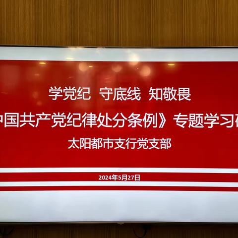 学党纪 守底线 知敬畏 太阳都市支行党支部《中国共产党纪律处分条例》专题学习研讨