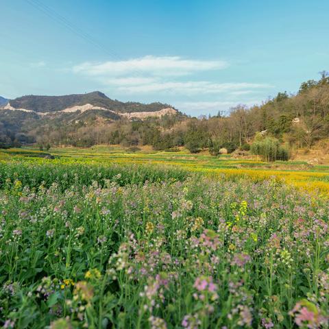 醉在春风里