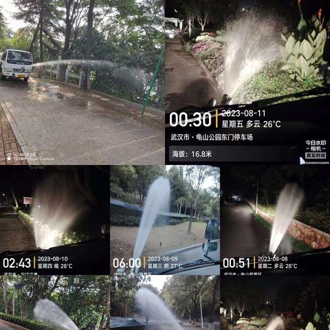 2023年8月7日-8月13日龟山公园绿化养护工作完成情况汇报
