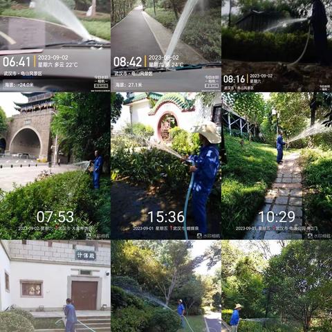 2023年8月28日-9月3日龟山公园绿化养护周工作完成情况