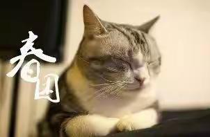 泸州玄滩运业有限公司关于做好春季行车安全防“春困”的通知