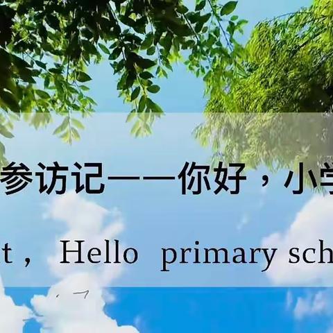 【幼小 衔接】纳雍县童星幼儿园——我们在行动之参观小学活动
